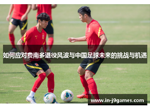 如何应对费南多退役风波与中国足球未来的挑战与机遇 如何应对费南多退役风波与中国足球未来的挑战与机遇